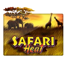Safari Heat - GECKO158