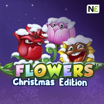 Flowers Christmas Edition - GECKO158