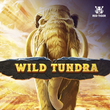 Wild Tundra - GECKO158