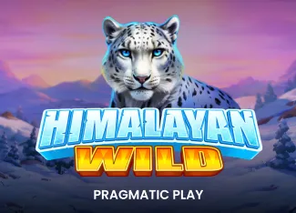 Himalayan Wild - GECKO158