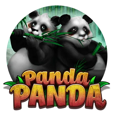 Panda Panda - GECKO158