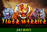 Tiger Warrior - GECKO158