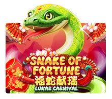 Snake Of Fortune - GECKO158