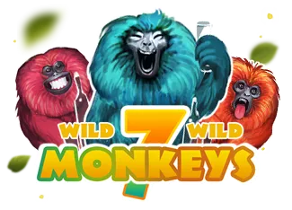 7 Monkeys - GECKO158