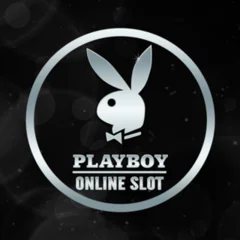 Playboy - GECKO158